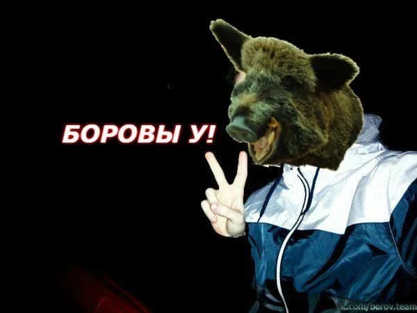 Боров